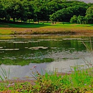 Meet your Posher, Claire